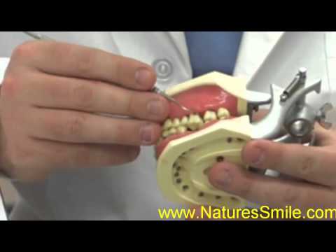 how to get rid of rose fungus