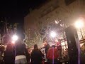 PPBJ - boira verda