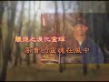 于宙-怀念你(1/3)