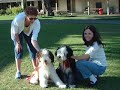 The Max Video