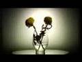 Mj Apologize (remix) Video and Lyrics