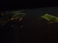 Feeding Frenzy in My Arowana Tank Feeding Frenzy in My Arowana Tank