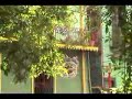 Mi Buenos Aires Querido