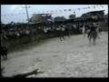 videos de Primer Torneo de Lazos Ixil 2008