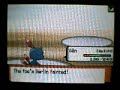 D/P Wifi Battle: ernstein11