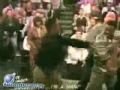 Jerry Springer Uncut Fights Uncensored