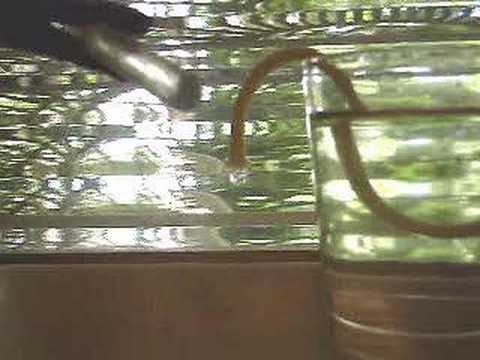 Pursuing A Scientific Discovery 072 ...