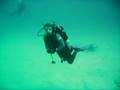 Scuba Diving Corsair, Koko Craters; Hawaii Kai, Oahu, Hawaii