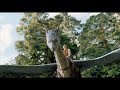 eragon-if-you-were-flying.html