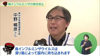 【第26回】鳥インフルエンザの発生防止　～守ろう！我が家の鳥と養鶏産業～