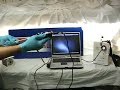 1800Endoscope.com 1800PCCam Video System