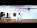 Chen Style Taiji Quan 24 Form 陳式太極拳24式