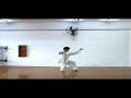 Chen Style Taiji Quan 24 Form ?????24?