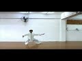 Chen Style Taiji Quan 24 Form 陳式太極拳24式