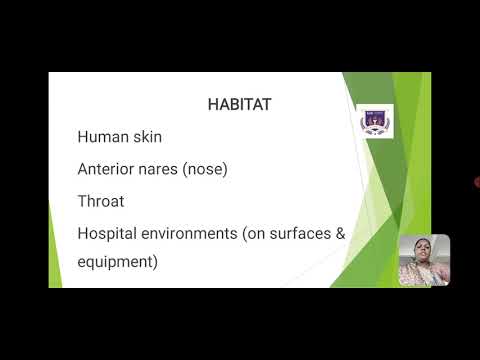 BACTERIOLOGY PART 1_LCS