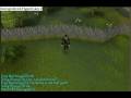 runescape-happy new year runescapers