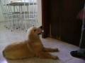 videos de Ãrion