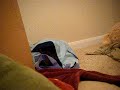 Prank on Kaylee Sparrow Prank on Kaylee Sparrow