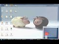 raton visual