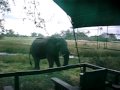 horse-riding-in-macatoo-botswana.html