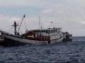SAKSIKAN - ILLEGAL LOGGING DI KETAPANG KALBAR - 2