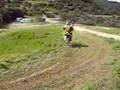 trepalou