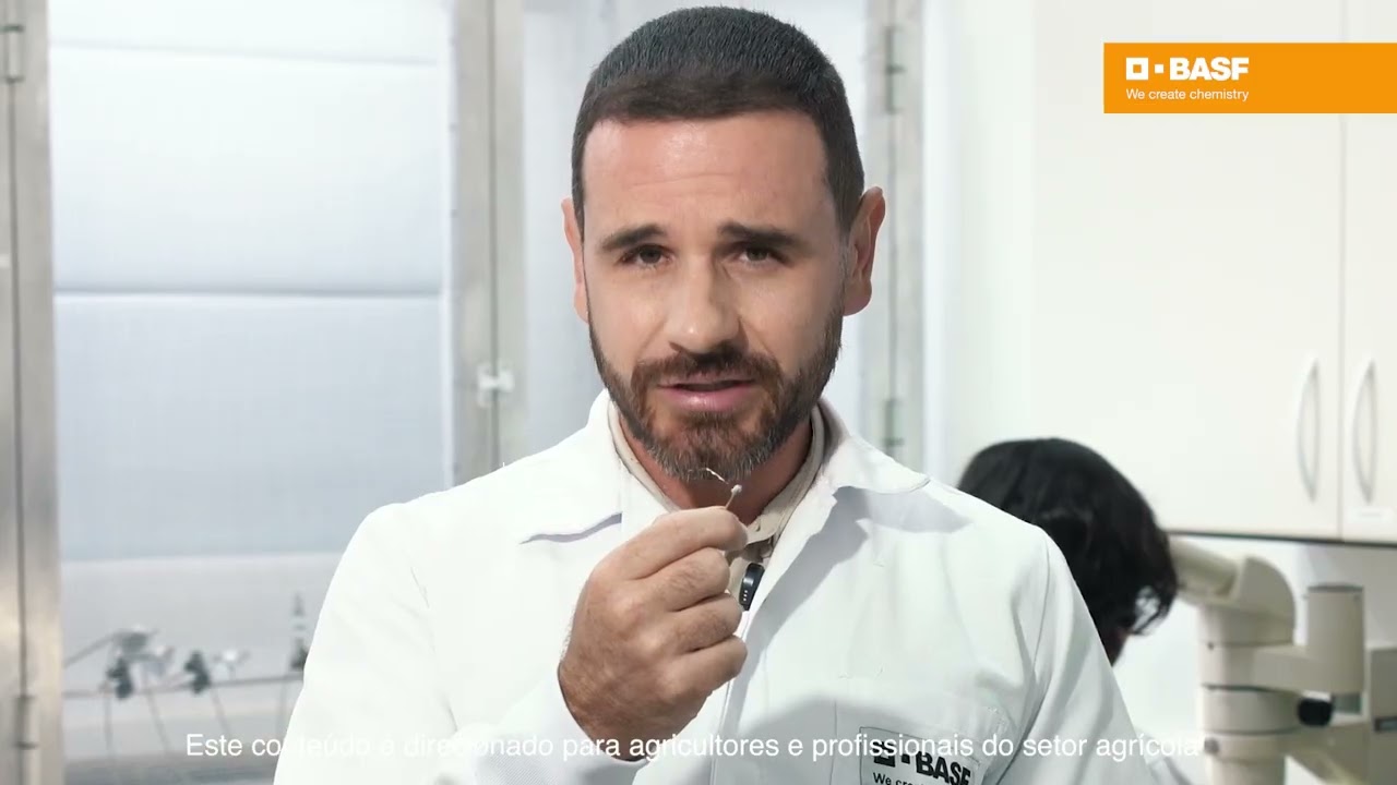 Inseticida Efficon®: confira o Efeito Freeze no controle do psilídeo