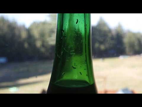 how to harvest yeast from starter