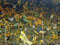 Leuchte auf mein Stern Borussia
