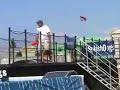 Splash dog finals1