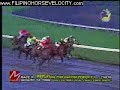 2008 PERIDOT I won by LA TIENNE 2008 PERIDOT I won by LA TIENNE