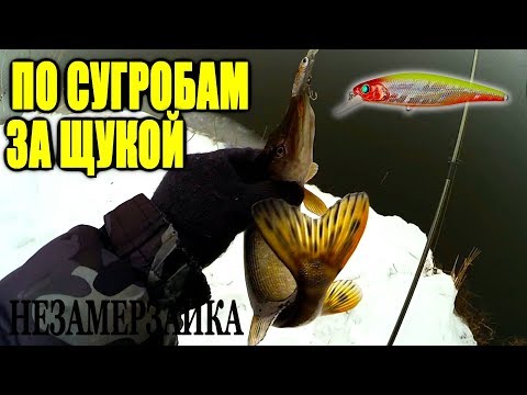 рыбалка на баклуши рыбалка на баклуши