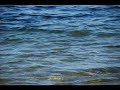 Yann Tiersen - L\