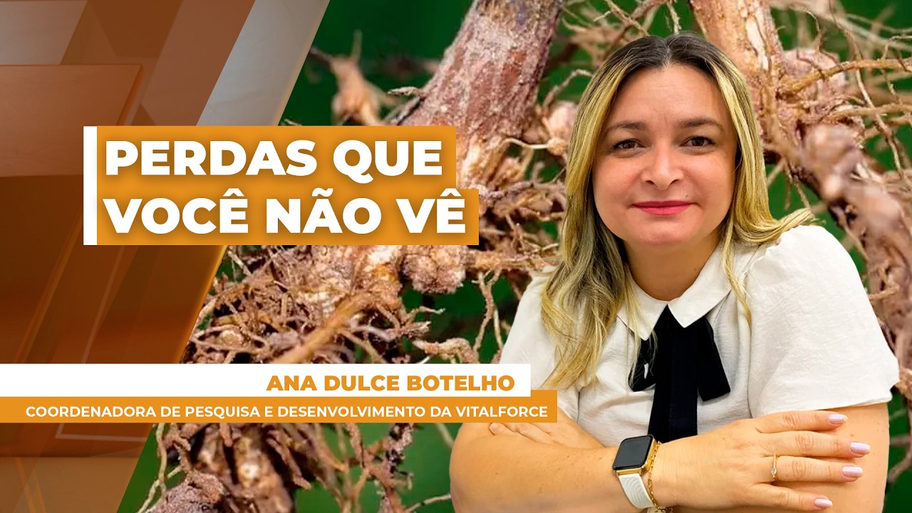 NEMATÓIDES - PERDAS QUE VOCÊ NÃO VÊ