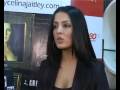 Celina Jaitley launched her website