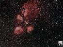 Nebula