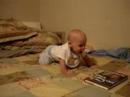 Troy Crawling Again Troy Crawling Again