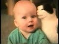 Gatos em apuros