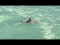 Waimea Bay Beach Big Surf - North Shore Surfing Waimea Bay Beach Big Surf - North Shore Surfing