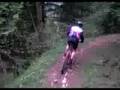 Mountain bike downhill Primiero (Trentino)
