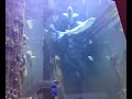 aquarium2 aquarium2
