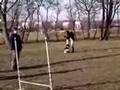 Agility 3miasto