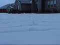 in snow