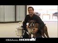 Travis Brorsen more than a dog owner Travis Brorsen more than a dog owner