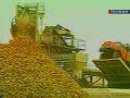 انتخابات اعضای هیئت مدیره سندیکای کارگری نيشکر هفت تپه