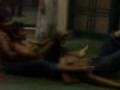 videos de Chain Gang Of Zps Picnic 5