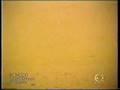 青い胸騒ぎ / YOGURT-pooh