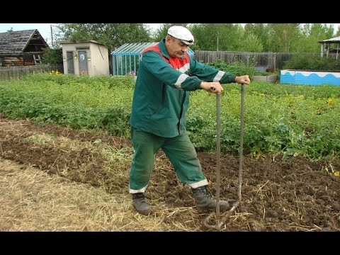 Как и чем лучше копать огород Как и чем лучше копать огород