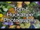 Tom Huckabee Photography TEST VIDEO