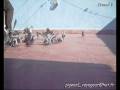 videos de Ismail B pipa derby pigeon voyageur maroc sale  lawla3a animal 7